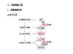 2017版高考生物一輪復(fù)習(xí)課件 通用版第12單元第2講——細(xì)胞工程精講