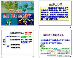 細(xì)胞工程 原理、技術(shù)及應(yīng)用