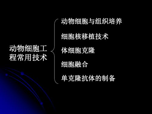 細胞工程的微觀奇跡 從動物細胞到生命重塑